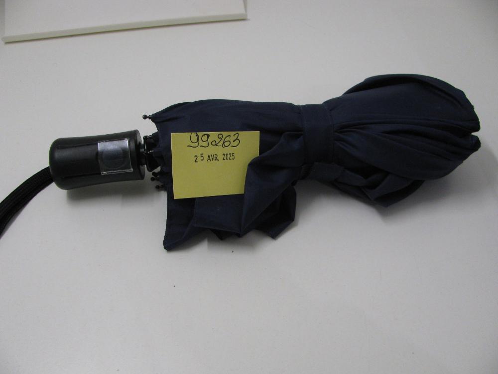 Parapluies : N° 2025002501 Trouvé(e) le : Fri Apr 25 00:00:00 CEST 2025