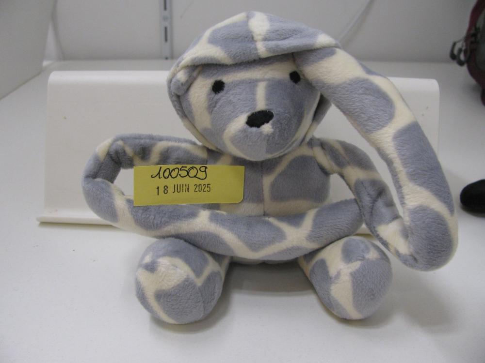 Jeux, jouets, peluches : N° 2025003747 Trouvé(e) le : Thu Jun 19 00:00:00 CEST 2025