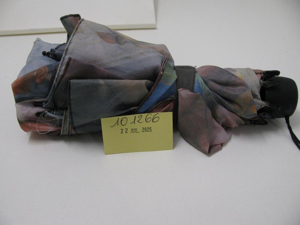 Parapluies : N° 2025004504 Trouvé(e) le : Wed Jul 23 00:00:00 CEST 2025