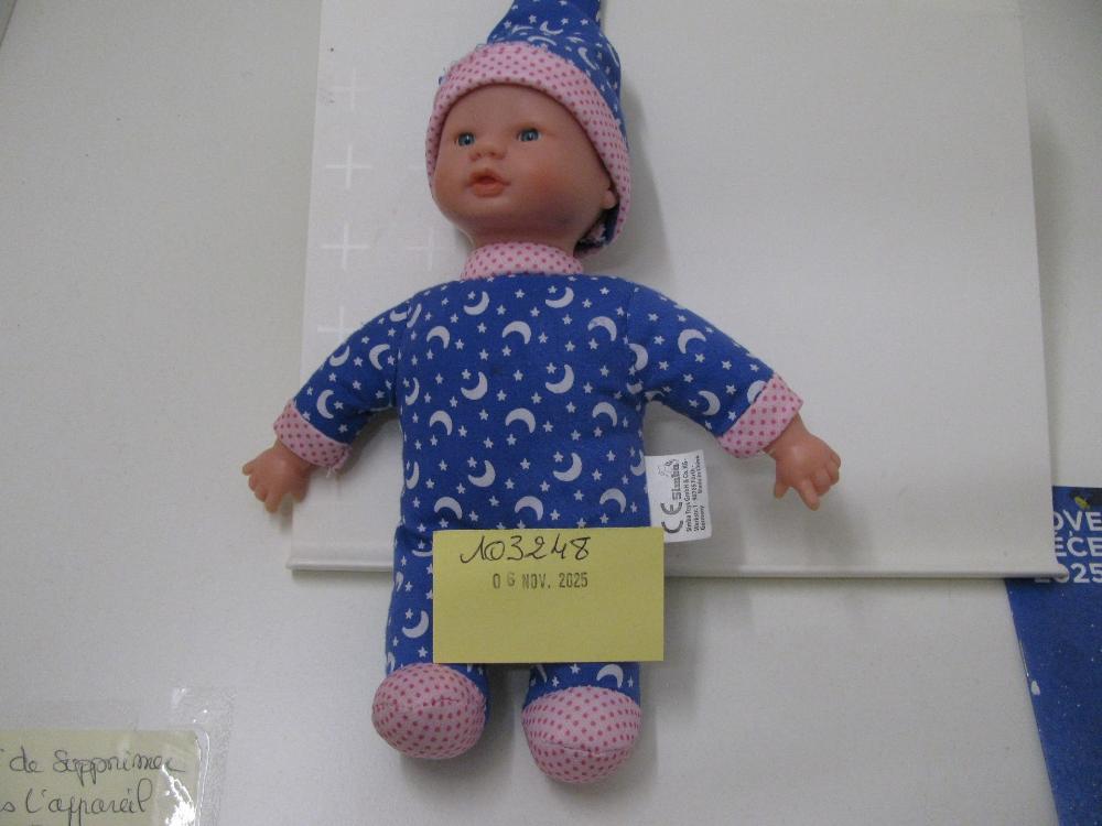 Jeux, jouets, peluches : N° 2025006486 Trouvé(e) le : Thu Nov 06 00:00:00 CET 2025