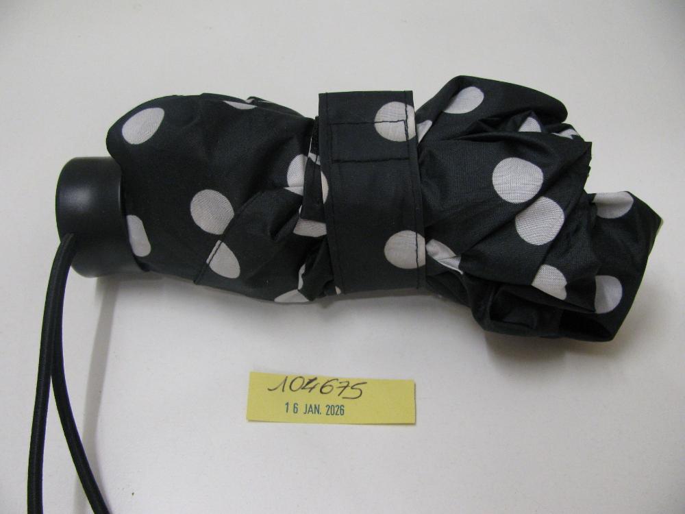 Parapluies : N° 2026000297 Trouvé(e) le : Fri Jan 16 00:00:00 CET 2026