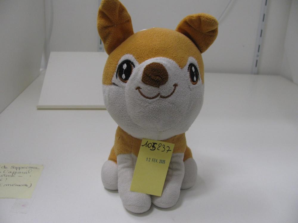 Jeux, jouets, peluches : N° 2026000859 Trouvé(e) le : Fri Feb 13 00:00:00 CET 2026