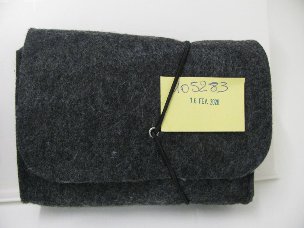 Électronique, informatique, image, son : N° 2026000905 Trouvé(e) le : Mon Feb 16 00:00:00 CET 2026