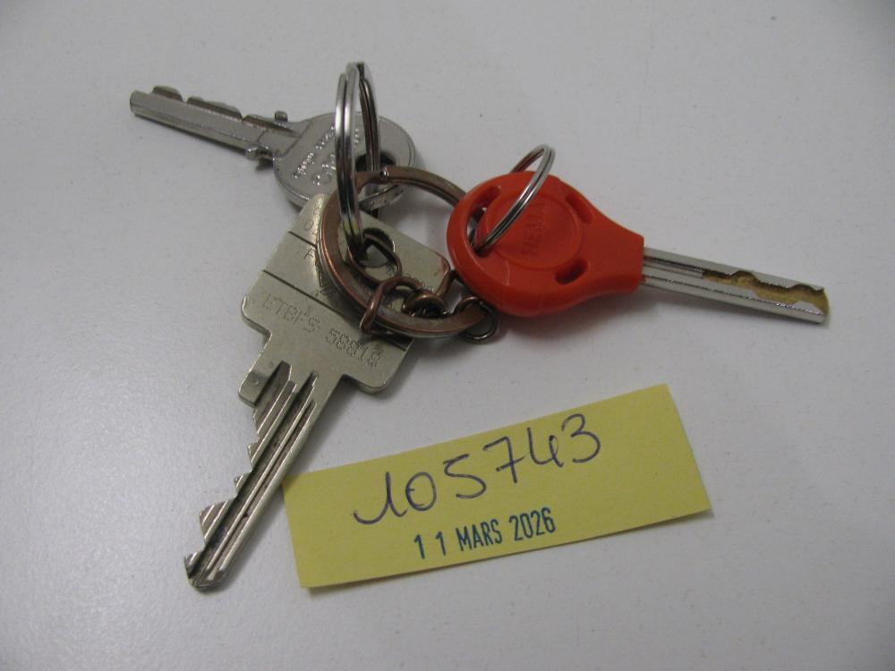 Clés : N° 2026001365 Trouvé(e) le : Wed Mar 11 00:00:00 CET 2026