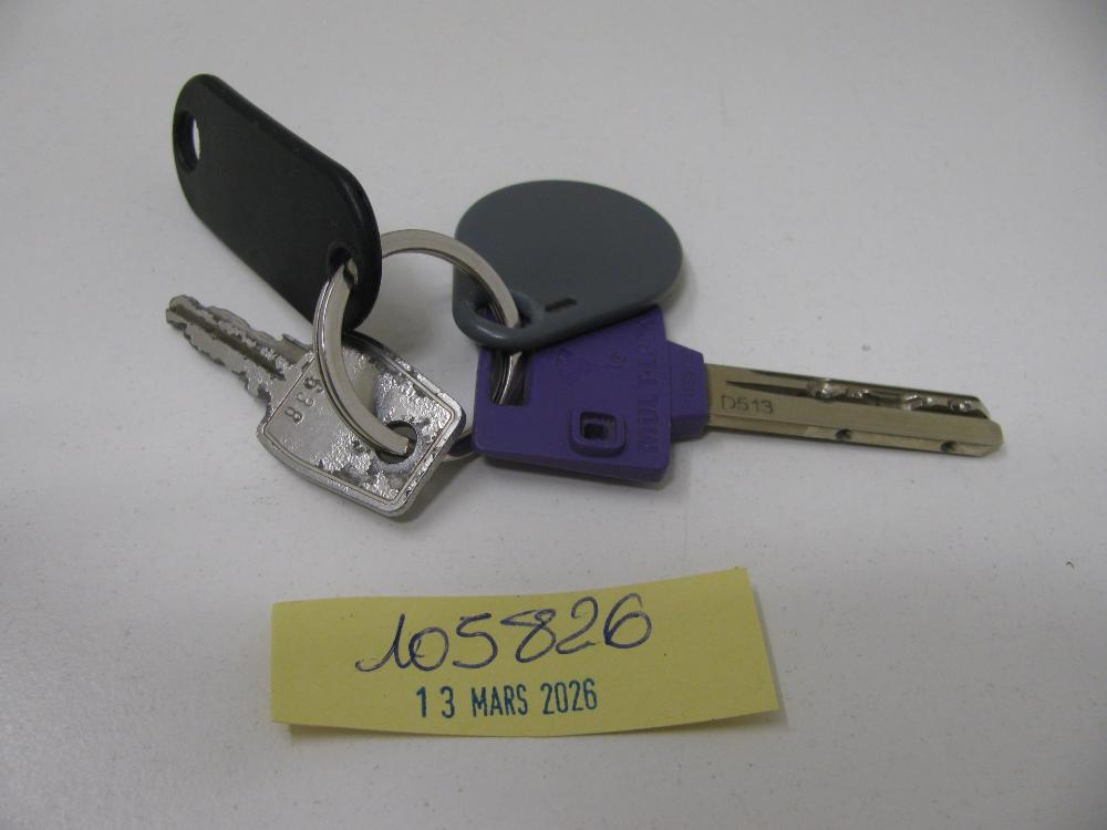 Clés : N° 2026001448 Trouvé(e) le : Fri Mar 13 00:00:00 CET 2026